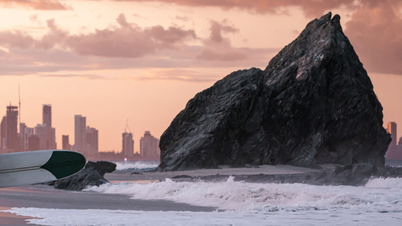 Elephant rock surf 2025 club