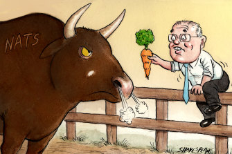 Illustration by John Shakespeare.