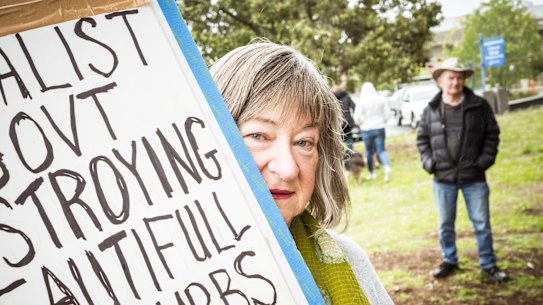 Susan McMillan, a Brighton resident of 45 years, joined about 2000 protesters on Sunday.