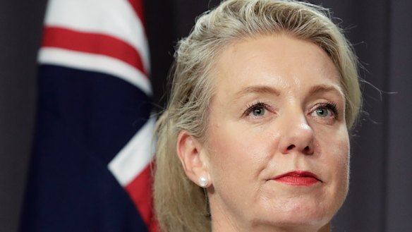 Deputy leader Bridget McKenzie weighed in to the division that has taken hold of her party and the Coalition.