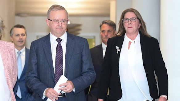 Labor leader Anthony Albanese and infrastructure spokeswoman Catherine King.