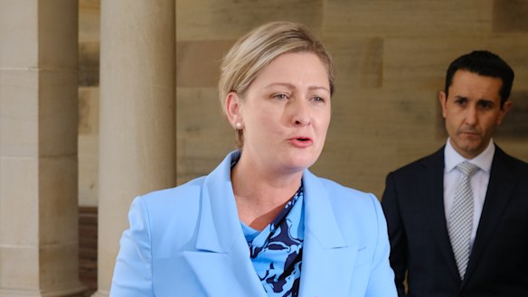 Child Safety Minister Amanda Camm announced the inquiry on Sunday. 