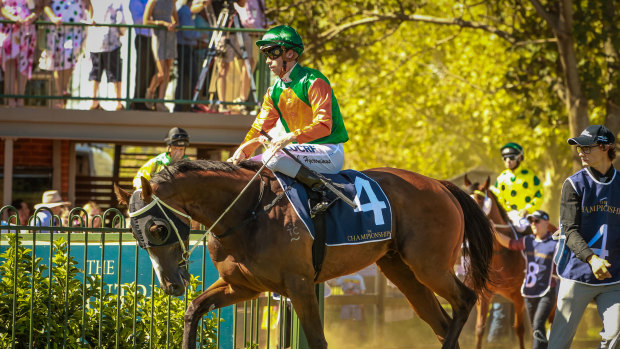 There are 10 races at Dubbo on Sunday.