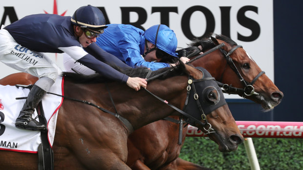 By a nose: Best Solution edges out Lloyd Williams' Homesman in Saturday's Caulfield Cup.