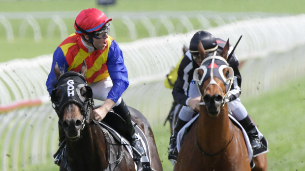 Your shout: Tommy Berry roars as Pierata wins the Sydney Stakes last year.