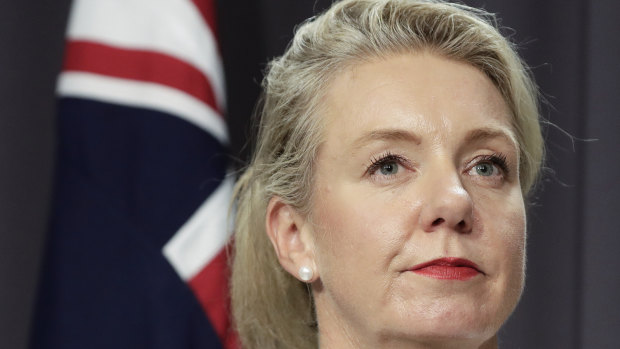 Deputy leader Bridget McKenzie weighed in to the division that has taken hold of her party and the Coalition.