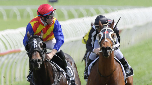 Tommy Berry roars as Pierata wins the Sydney Stakes last year.