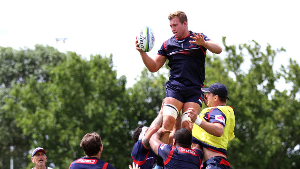 Flying high: Angus Cottrell is keen to make an early impression in his first Wallabies squad. 