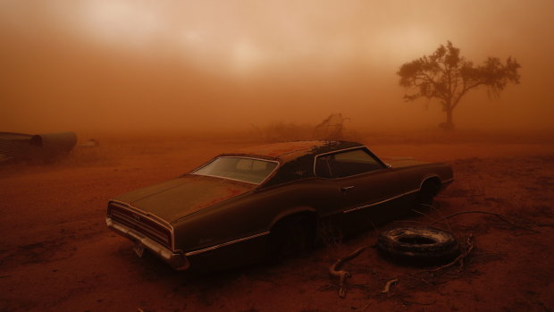 Nick Moir's award-winning photograph <i>Thunderbird in the Dust</i>