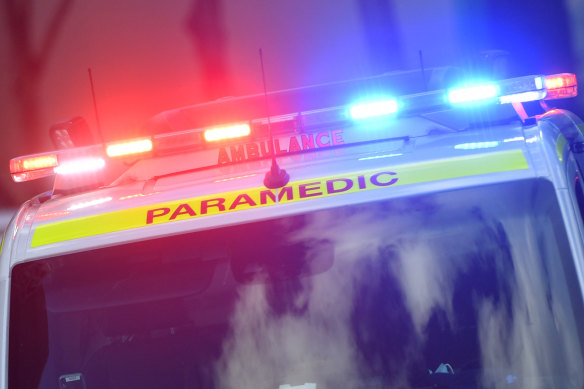 Paramedics were called to the crash in Revesby but said the driver died at the scene.