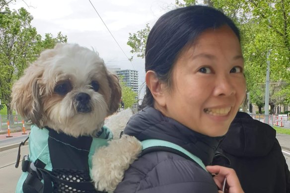 Spark goes for a ride on a tram in Melbourne with Maida.
