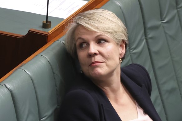 Tanya Plibersek regrets not calling out misogyny when Julia Gillard was prime minister.