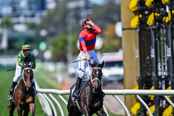 James McDonald on Verry Elleegant wins Melbourne Cup at Flemington last year.