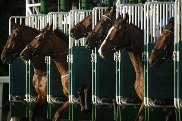 Racing heads to Taree on Sunday.