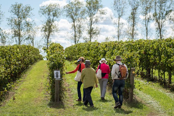 Vineyard strolls at Forage, a progressive eight-course food showcase, part of Orange FOOD Week.