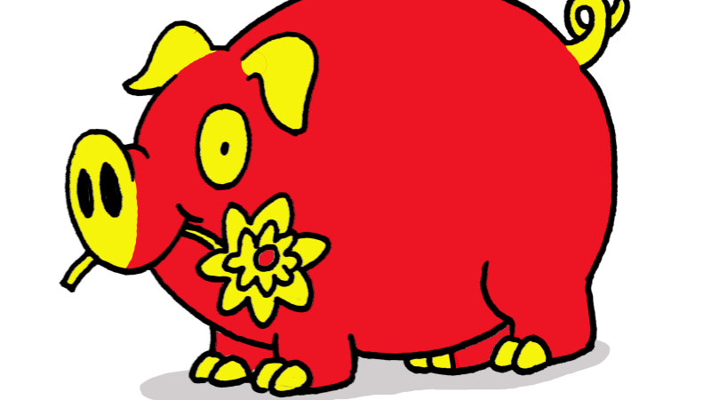 Chinese New Year The Year Of The Pig What To Do And What Not To Do