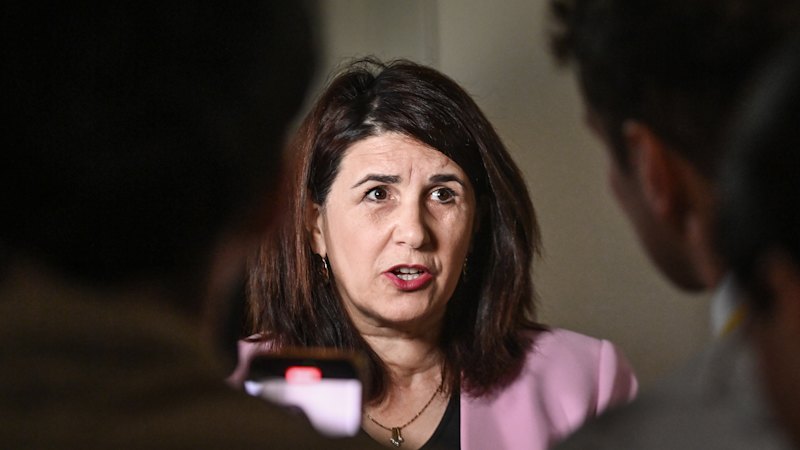 Conservative Liberal MP rolled for top spot amid fiery preselection battles