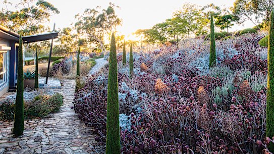 The wild effects Kurt Wilkinson has created in his Adelaide Hills garden are entirely singular 