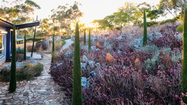 Train stations and car parks: The gardens proving beauty can be found anywhere