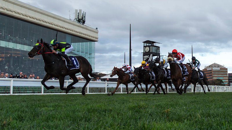 Joe Pride backs Private Eye after buying a 10% share ahead of the Tramway Stakes