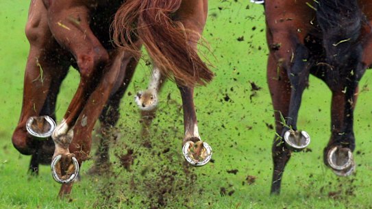 Racing returns to the Sapphire Coast on Monday.