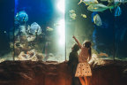 Aquariums suddenly seem far more wonderous when you visit with kids.