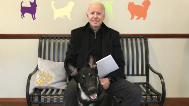 Joe Biden and his adopted German shepherd Major, in Wilmington, Delaware in 2018.