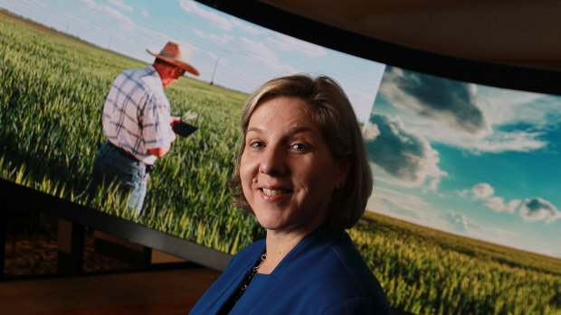 Telstra's incoming finance chief and Tesla board member Robyn Denholm.