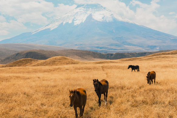 Travellers can hike up volcanic trails to lookout points or cycle through countryside to waterfalls.