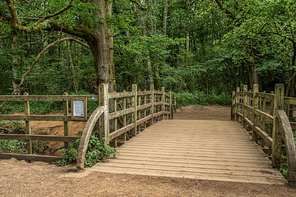 Summer greenery at Pooh Sticks Bridge,  Ashdown Forest.