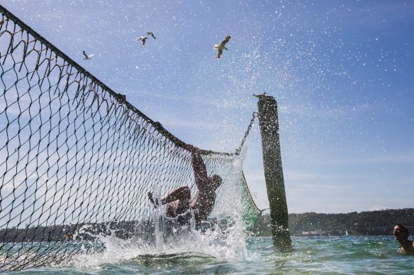 There are more than 50 shark nets on NSW beaches.