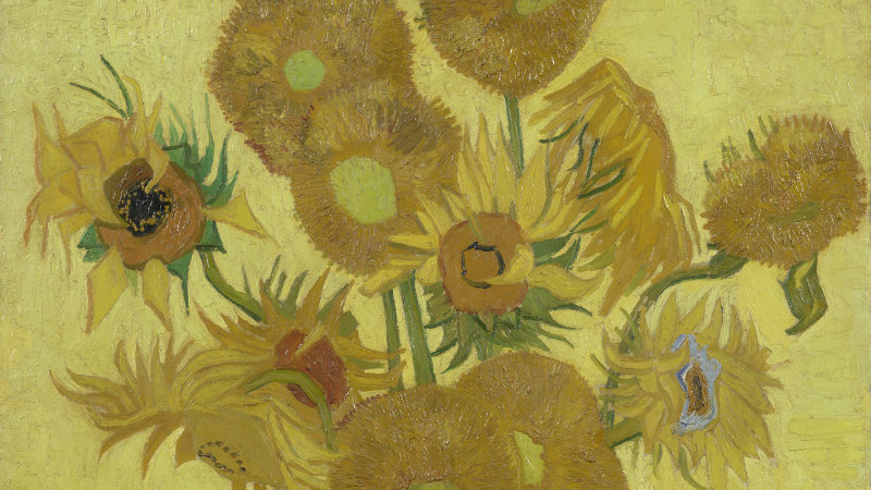 Van Gogh S Sunflowers Come Under The Microscope