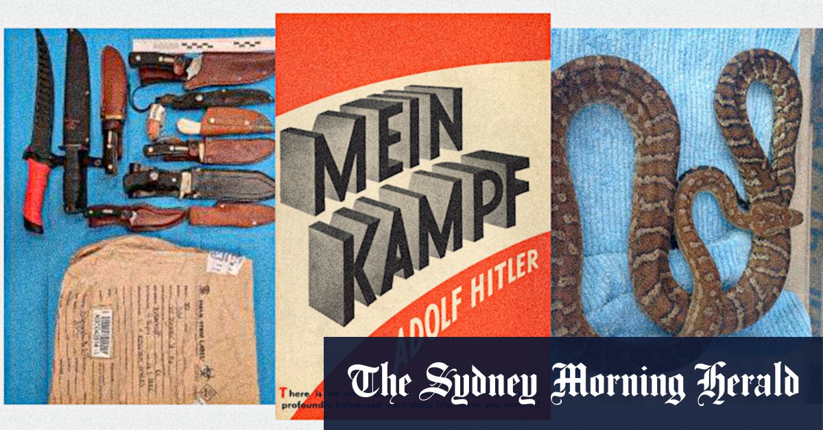 Bomb pipes, ‘terrorist handbook’ and 50 stolen snakes allegedly discovered in 21-year-old’s house