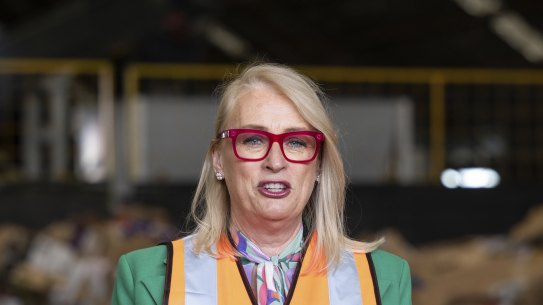 Lord Mayor Sally Capp.