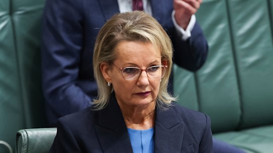 Sussan Ley in parliament on Thursday.