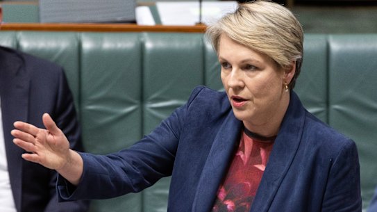 Environment and Water Minister Tanya Plibersek.
