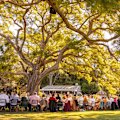 Scenic Rim Farm Shop’s long lunch is a big draw at Eat Local Month.