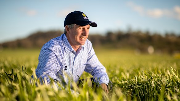 Bumper crops and bumper prices have given GrainCorp a boost, says CEO Robert Spurway.