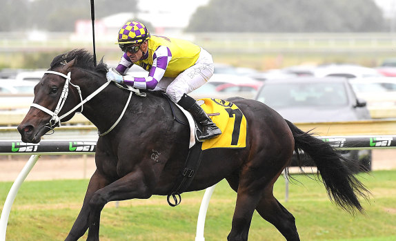 Production line: Lean Mean Machine and Corey Brown take out the Sires' Produce at Doomben.