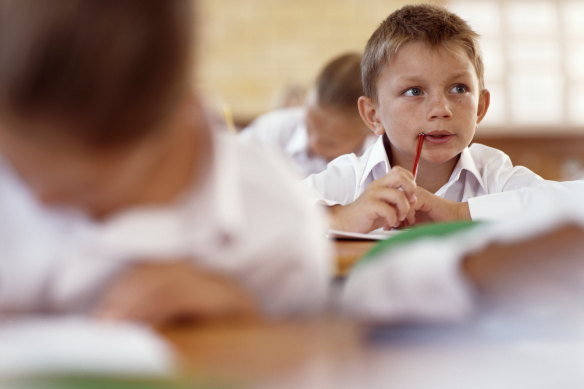 The standardised national tests, which measure reading, writing, spelling, grammar and punctuation, and numeracy across four year levels, have drawn significant criticism in Queensland. 