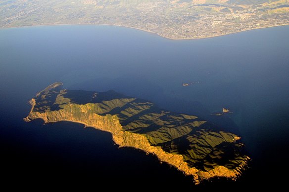 Kapiti Island, near Wellington, a native bird sanctuary.