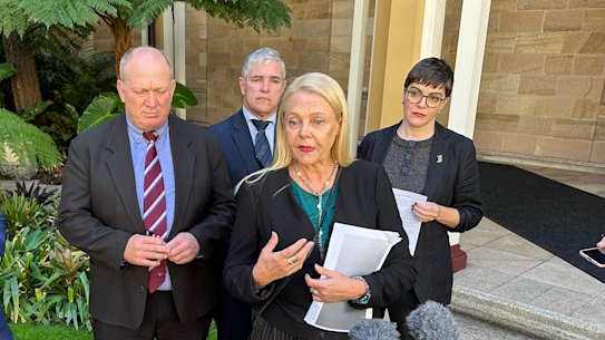 Noosa MP Sandy Bolton (centre) will chair a powerful new parliamentary select committee on youth justice – the first independent policy committee head in at least two decades.