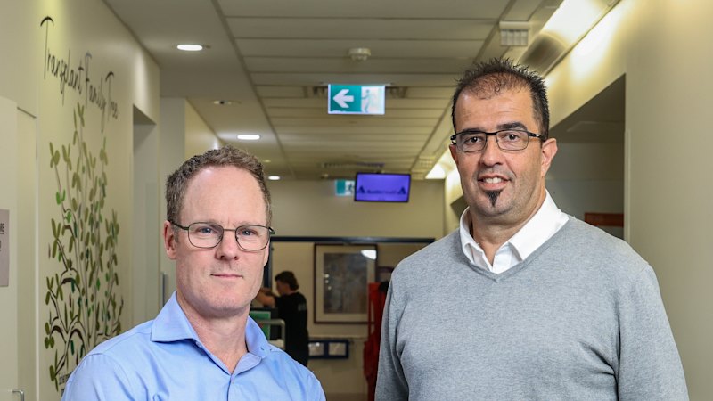 ‘Science fiction’: How life-saving organs are being kept alive outside the body