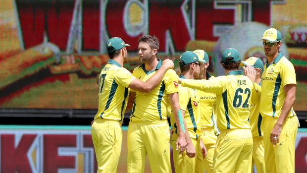 Australia will contest the Ashes and the World Cup next year.