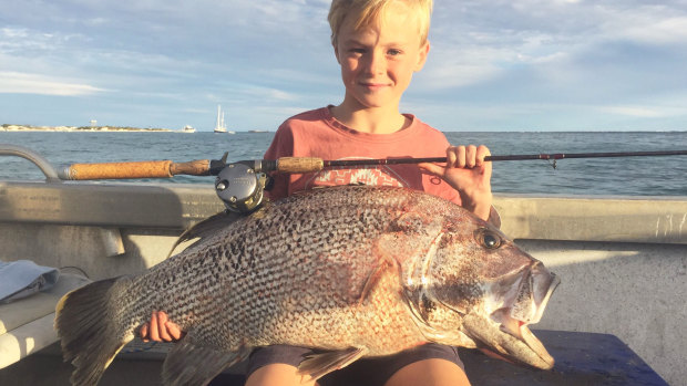 Ryder Pentreath, 9 years old, with a dhufish he caught off Lancelin while fishing with his dad.
