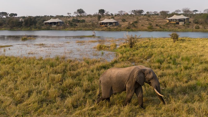 Private African game reserve opens after six-year rehabilitation and rewilding