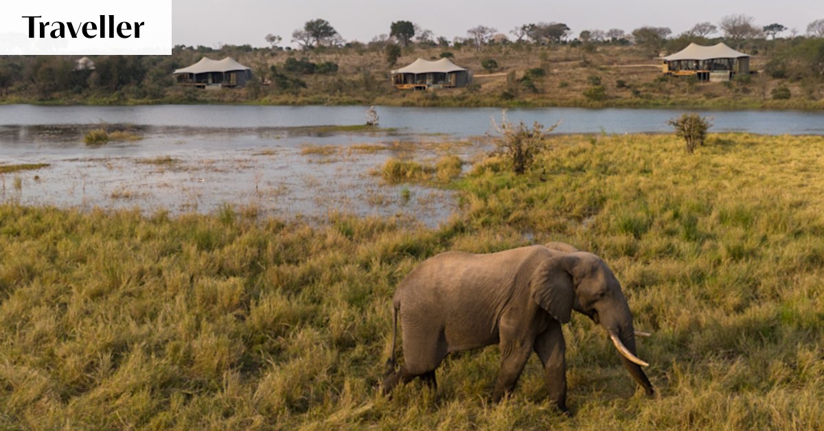Terrible, but beautiful: A wildlife reserve’s rebirth
