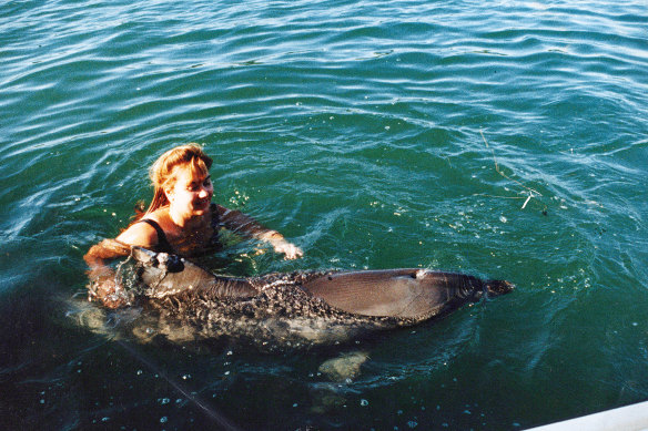 How a wild dolphin taught Melody Horrill to love and trust again