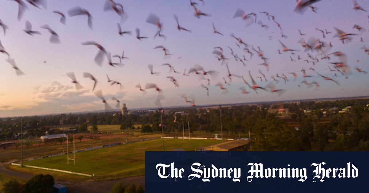 Santos salt of the earth could be revenue stream for Narrabri mayor - Vimarsana News