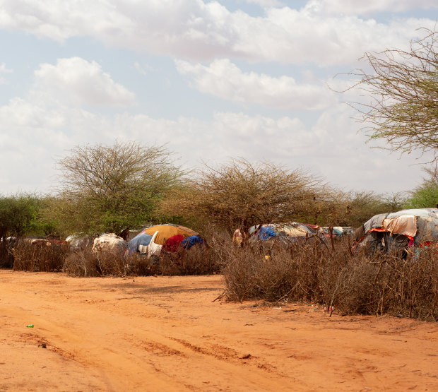 Somaliland'daki Khaatumo'da ülke içinde yerinden edilmiş insanlar için bir kamp.